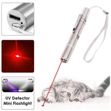 Laserpointer Katzen Hund