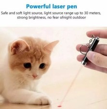 2In1 LED mini Pointer Katze
