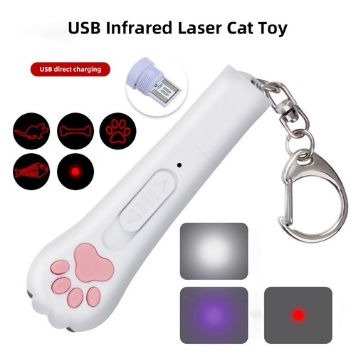 Cat interactive - 5, in